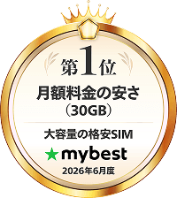 月額料金の安さ（30GB）No.1