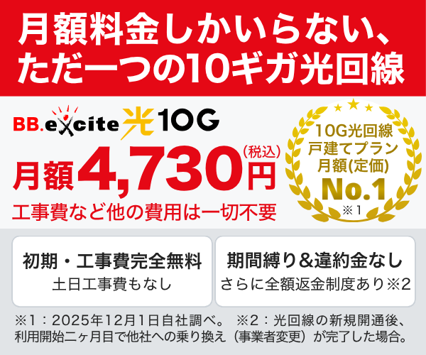 BB.excite光 10G